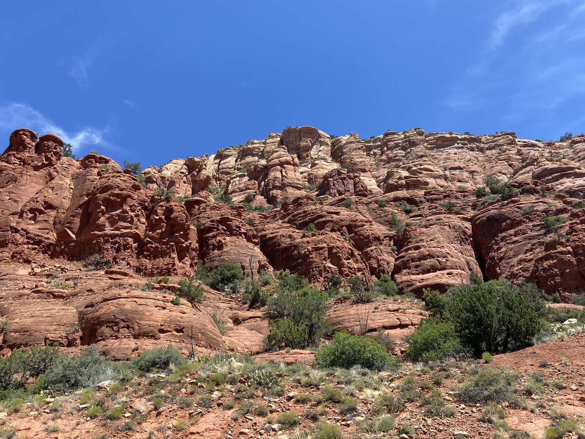 FrieszShanna's tweet image. Falling in love with Sedona.