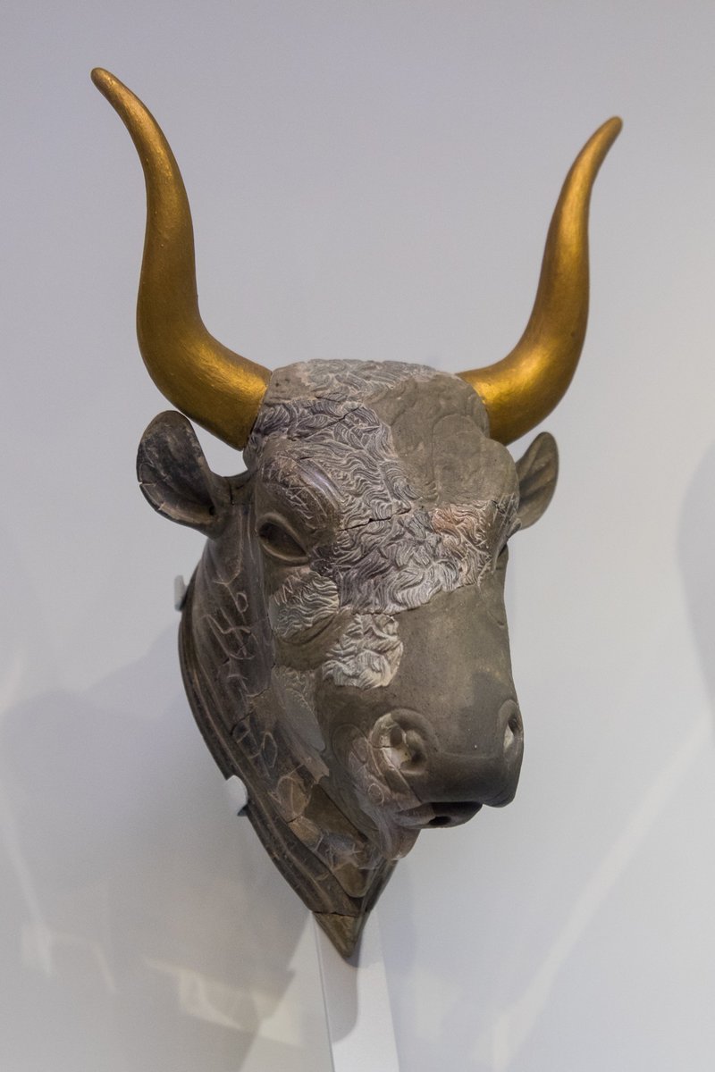 Four clay rhytons in the form of bulls' heads. Findspots are Knossos, Zakros, Palaikastro and Mochlos; dates between 1500 and 1370 BC. All currently in the Heraklion Archaeological Museum. #MuseumsUnlocked