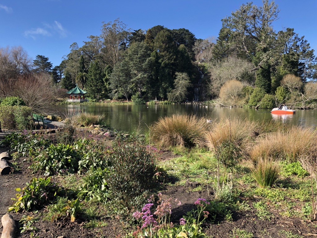 Golden Gate Park, San Francisco:Comparable to NYC's Central Park. Both great - GG Park is a little less crowded, but is the same sort of deal - long, many different parts, lots to see.