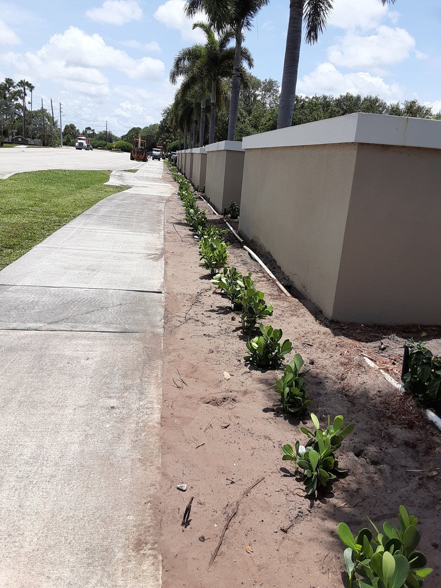 c_tingen's tweet photo. When "Sure I don't mind ripping out the old hedges" turns into also installing the new. Reminds me of what @USNavy really stands for. #SemperFi #Marinehumor https://t.co/DKFjDPQmZ0