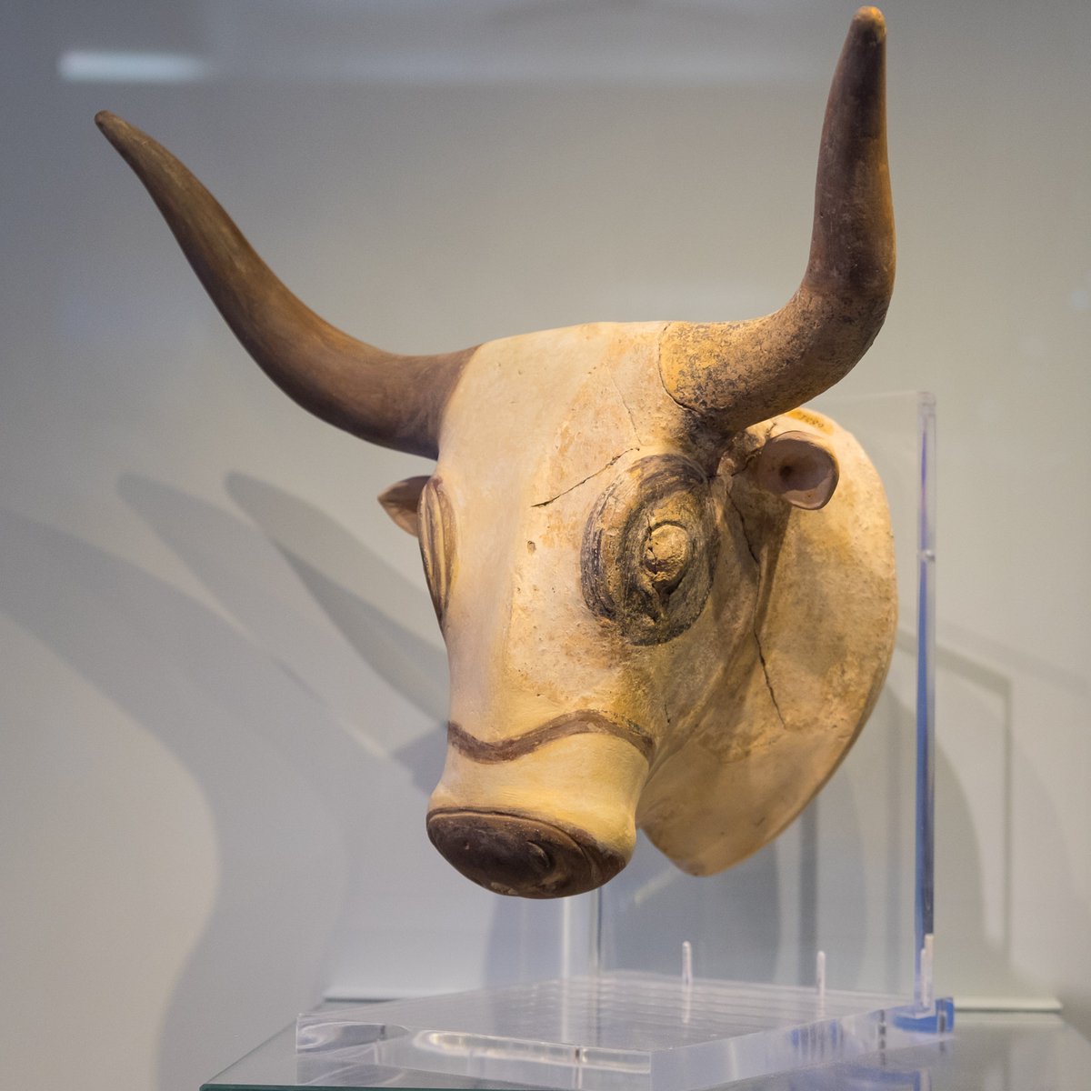 Four clay rhytons in the form of bulls' heads. Findspots are Knossos, Zakros, Palaikastro and Mochlos; dates between 1500 and 1370 BC. All currently in the Heraklion Archaeological Museum. #MuseumsUnlocked