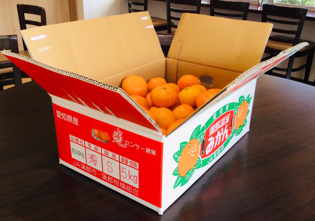 蒲郡温室みかん 蒲郡温室みかん
