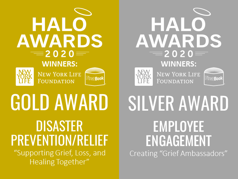 FirstBook's tweet photo. So excited to receive our 2020 Halo Award with @NewYorkLife (GOLD in Disaster Prevention/Relief and SILVER in Employee Engagement category).
We're thrilled for the honor and humbled by our customers and employees that made it possible! #EngageForGood https://t.co/RbjZQ15P7T