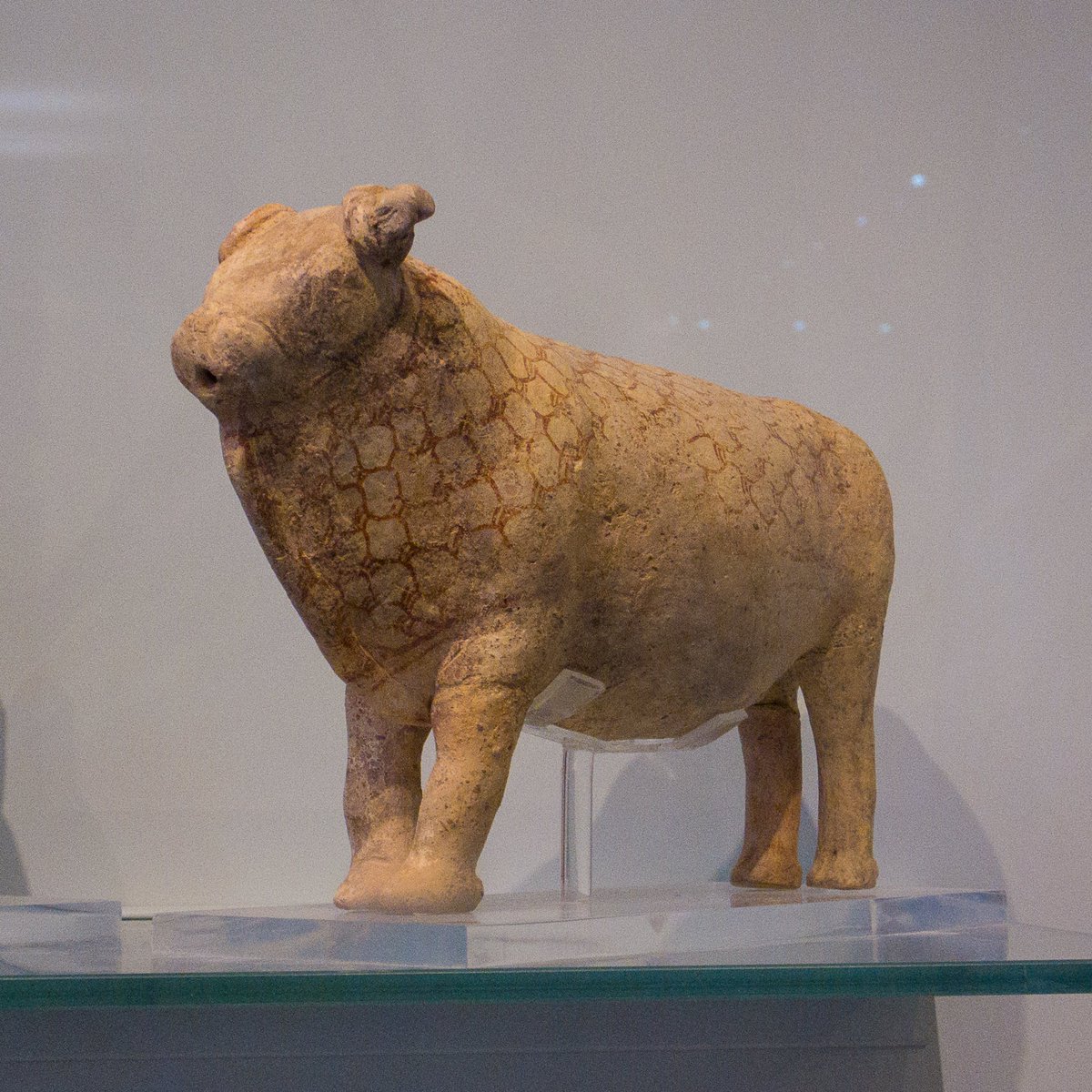 Clay rhyta in the form of bulls, from Pseira, 1500-1450 BC. In the Heraklion Archaeological Museum. #MuseumsUnlocked