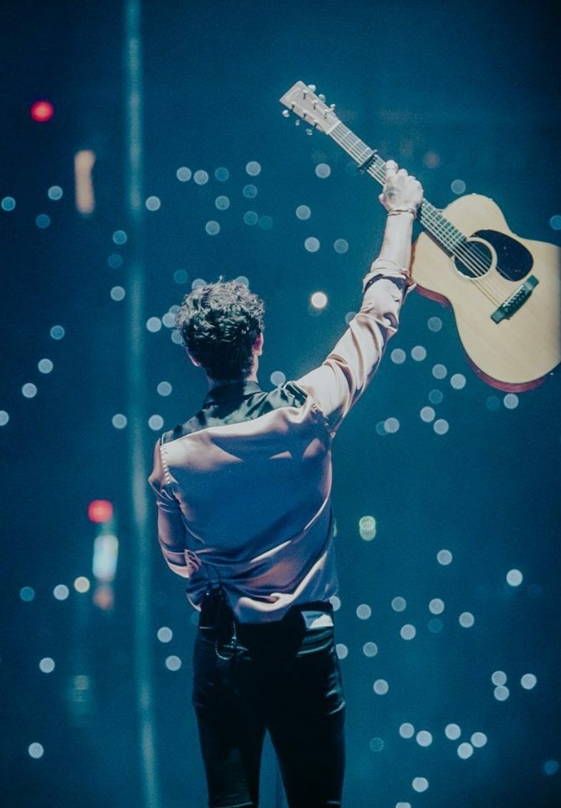 Shawn Mendes The Tour - Chicago ✦