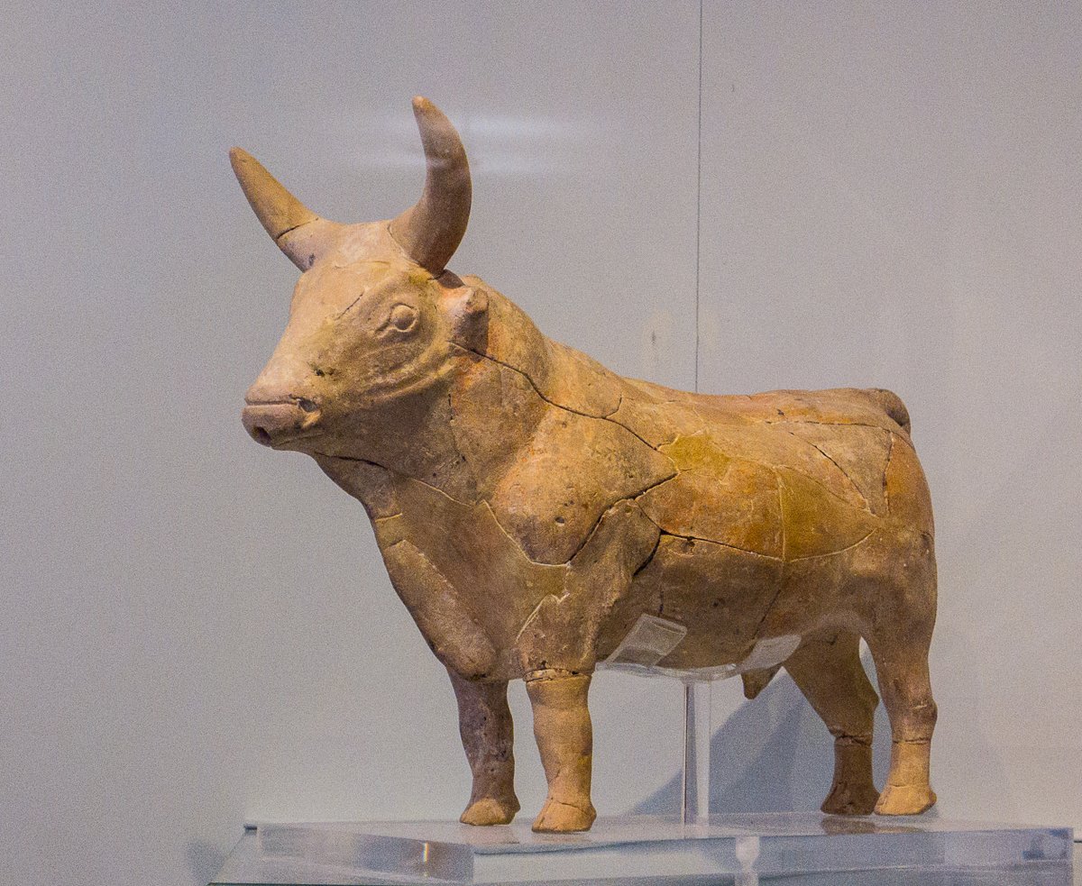 Clay rhyta in the form of bulls, from Pseira, 1500-1450 BC. In the Heraklion Archaeological Museum. #MuseumsUnlocked