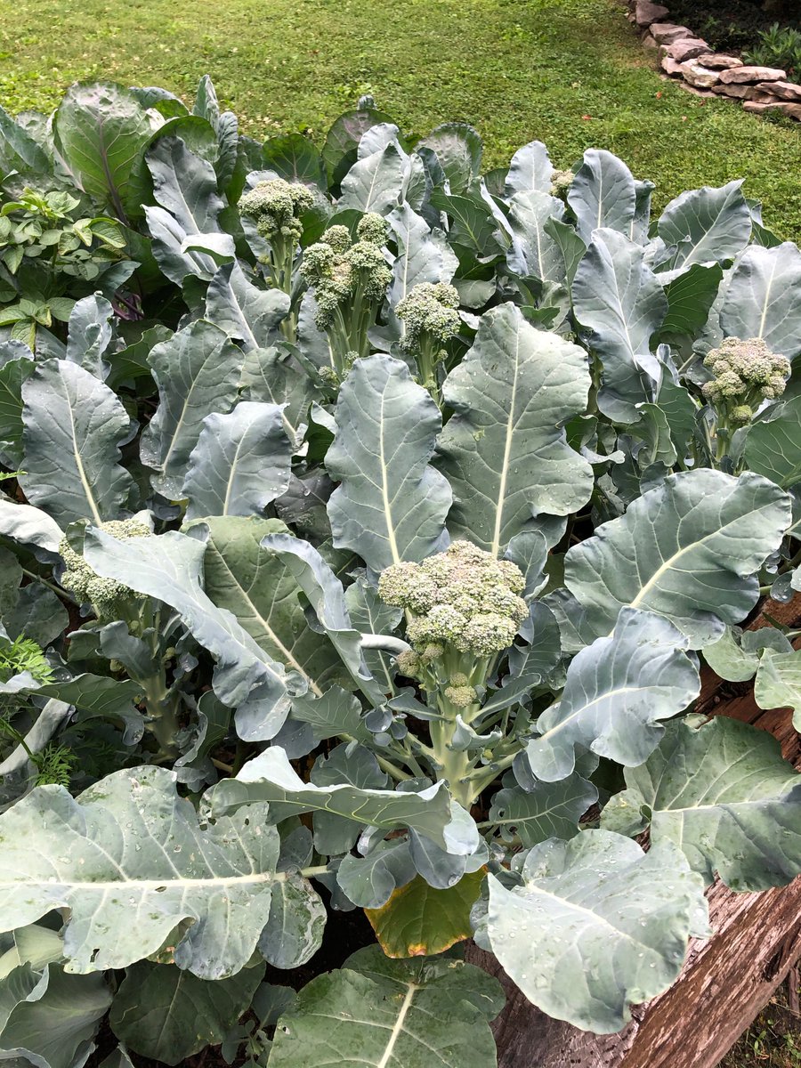 How am I doing <a href="/RussellBal/">russell@unturf.</a>?