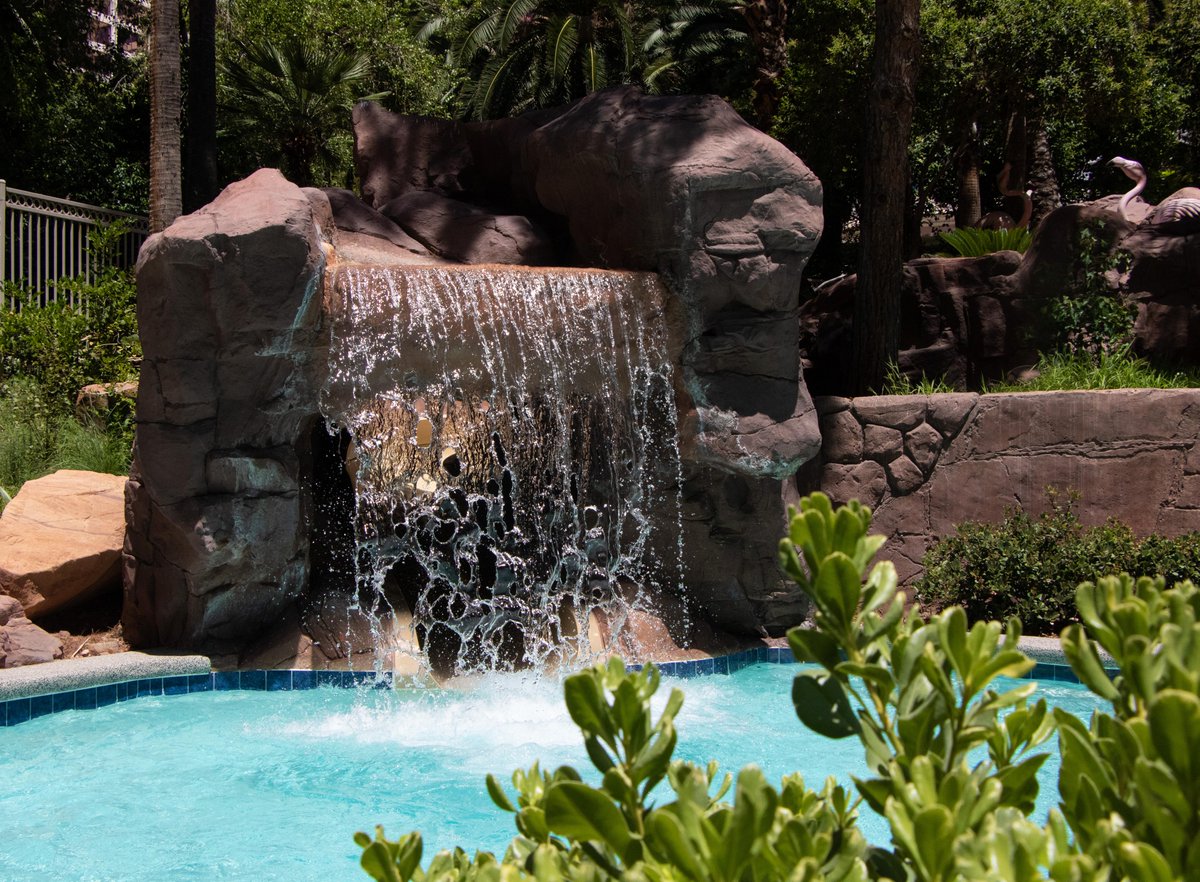 FlamingoVegas's tweet photo. Beat the heat in paradise at #GOPoolVegas! You can find us under the waterfall. 😉🌴🦩 https://t.co/pgdRsIuTmL #4EverFabulous #JustGOPool #VegasSummers #VegasAgain https://t.co/eA0JEmEnmc