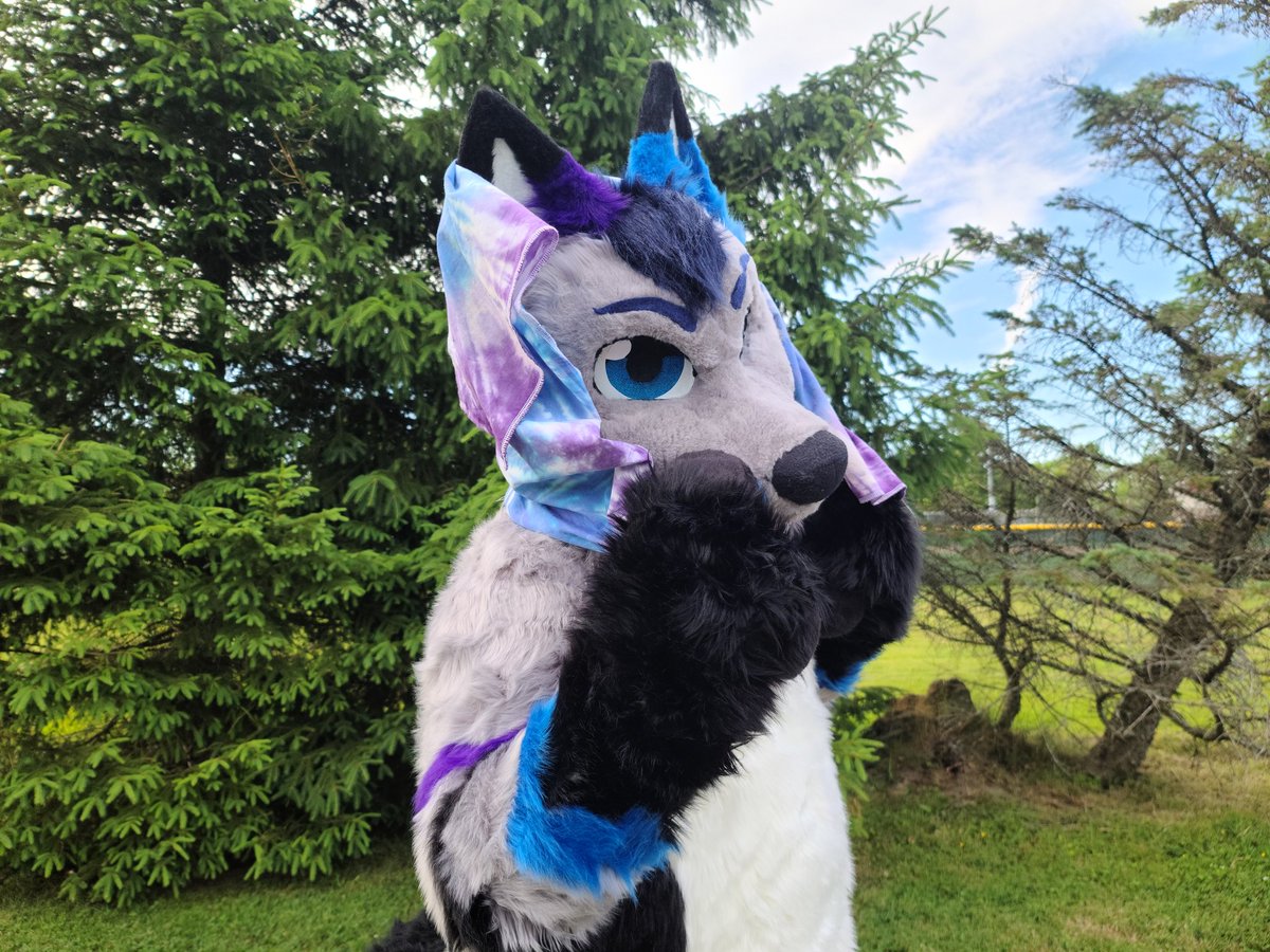 CynderChimes's tweet photo. Happy #fursuitfriday everyone. These pics came out really good. Thanks to my cousin (she doesnt have twitter) #fursuit #firewolfstudio https://t.co/YZHSdzHxS3