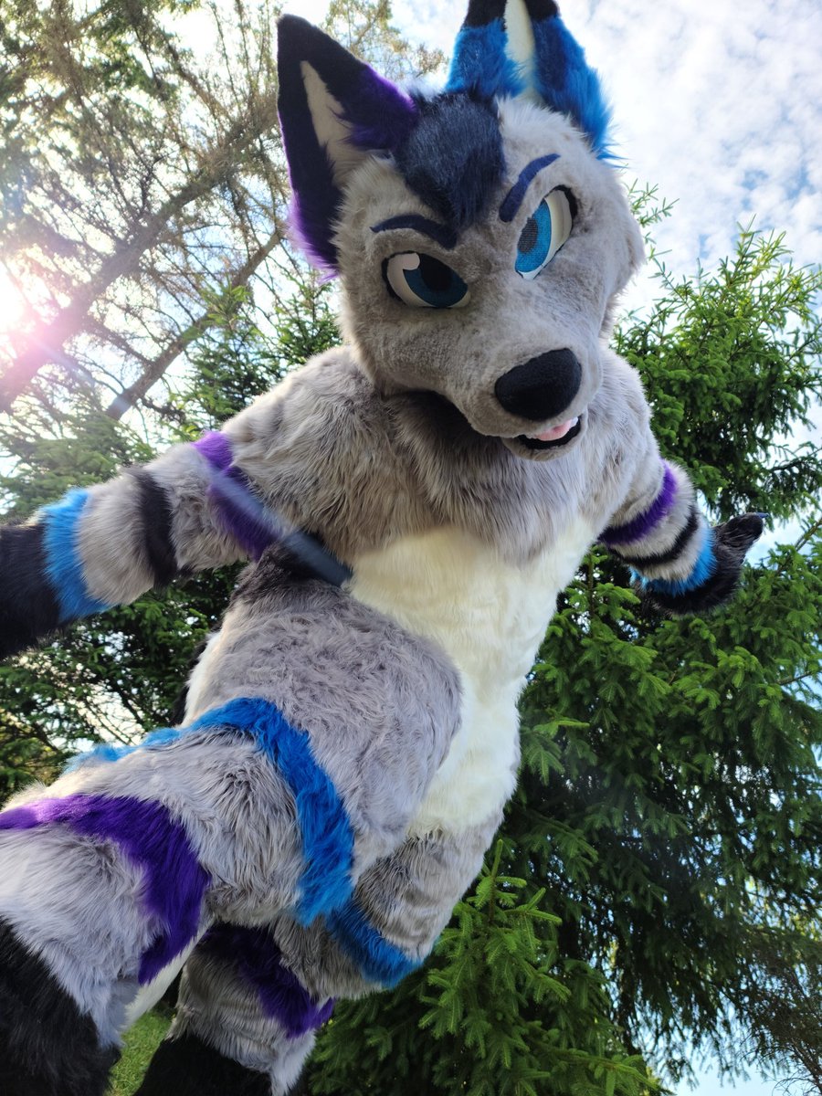 CynderChimes's tweet photo. Happy #fursuitfriday everyone. These pics came out really good. Thanks to my cousin (she doesnt have twitter) #fursuit #firewolfstudio https://t.co/YZHSdzHxS3