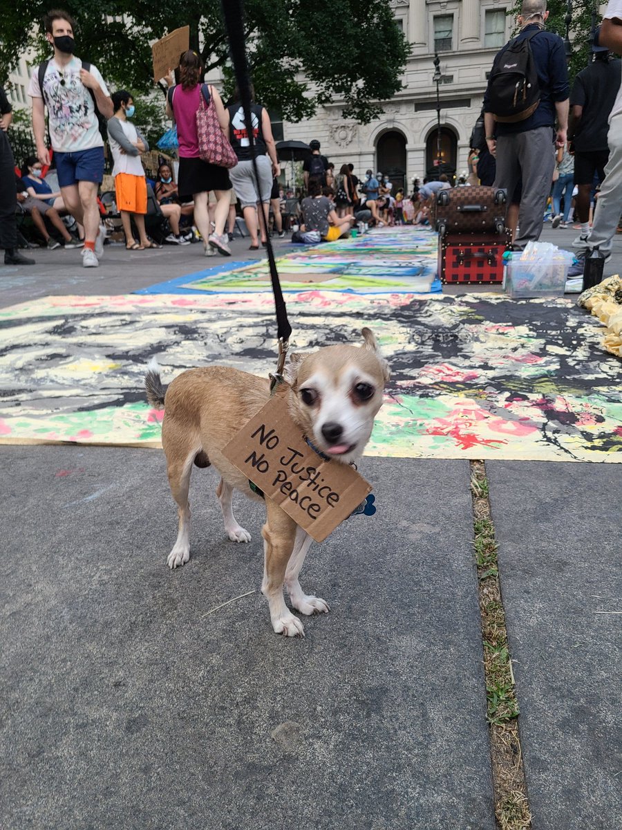 lmazzeiphotos's tweet photo. No Justice No Peace
#OccupyCityHall https://t.co/fniknIoKG5