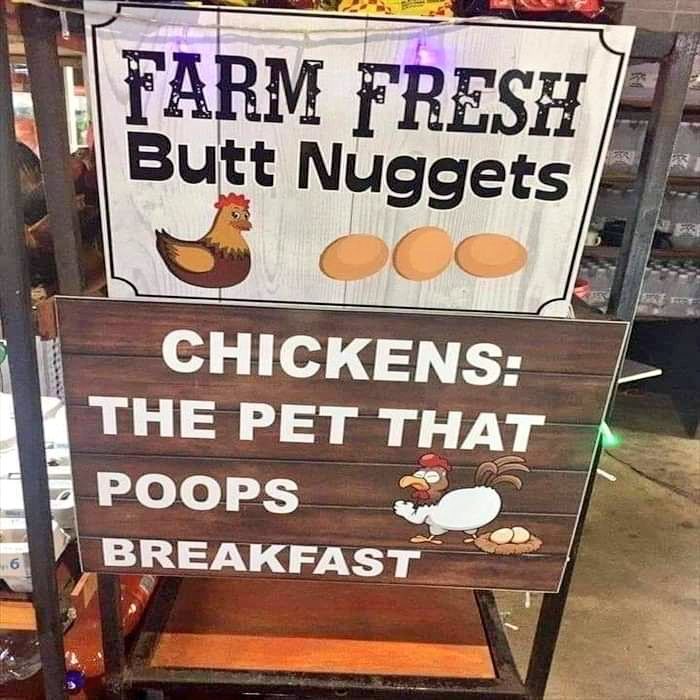 this is great - lmao!