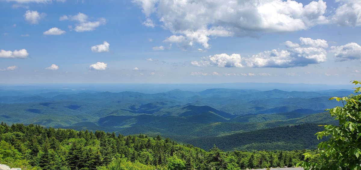 CortBraswell's tweet photo. Finally made it to the grandaddy of them all, GRANDFATHER Mountain. Swinging bridge, iconic curve from Forest Gump, mountain zoo, a goregous view, thought I was going to die, more than a few times, but man, to see the work of the Lord, what a blessing!! #BooneGoons #grandfather https://t.co/PPiRTxpVMT