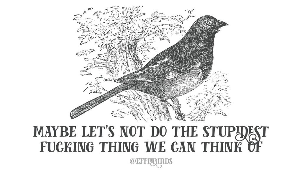 EffinBirds's tweet photo. https://t.co/jjruW2BBlH