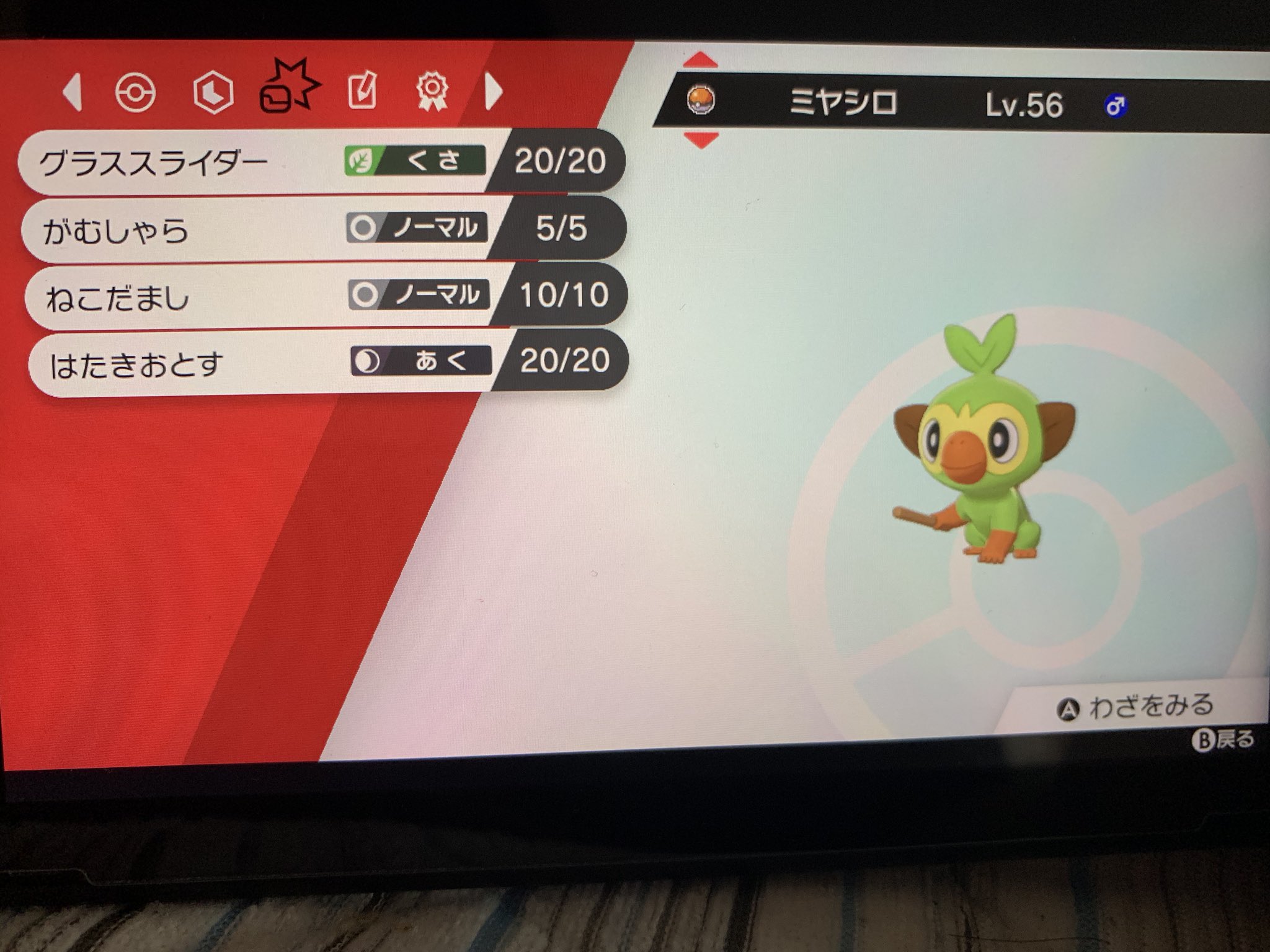 ミヤツロ メイン サルノリ育成した 特性 グラスメイカー 性格 意地っ張り 持ち物 きあいのタスキ 努力値 Asぶっぱ H余り 基本的な動きは タスキで耐えてから がむしゃらで 相手のhpを1にして グラススライダーで先制攻撃する どんなポケモンでも