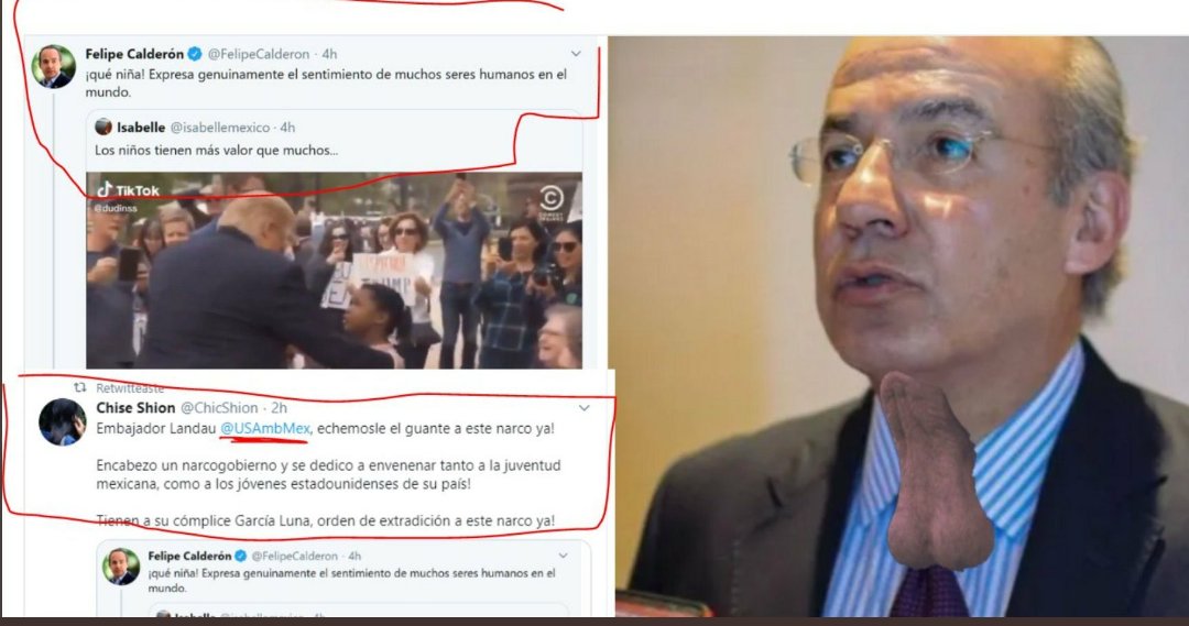 AlbertosCedillo's tweet photo. @FelipeCalderon Queda la impresión de que el Gobierno Federal encabezado en el sexenio pasado por @EPN tuvo 6 Años para encarcelarle Sr. Ex Presidente @FelipeCalderon para hacerle pagar por todo el daño hecho a miles de familias Mexicanas. Nuevamente no tuvo la capacidad de realizarlo!#TrumpSi https://t.co/e8MtuGVtNK