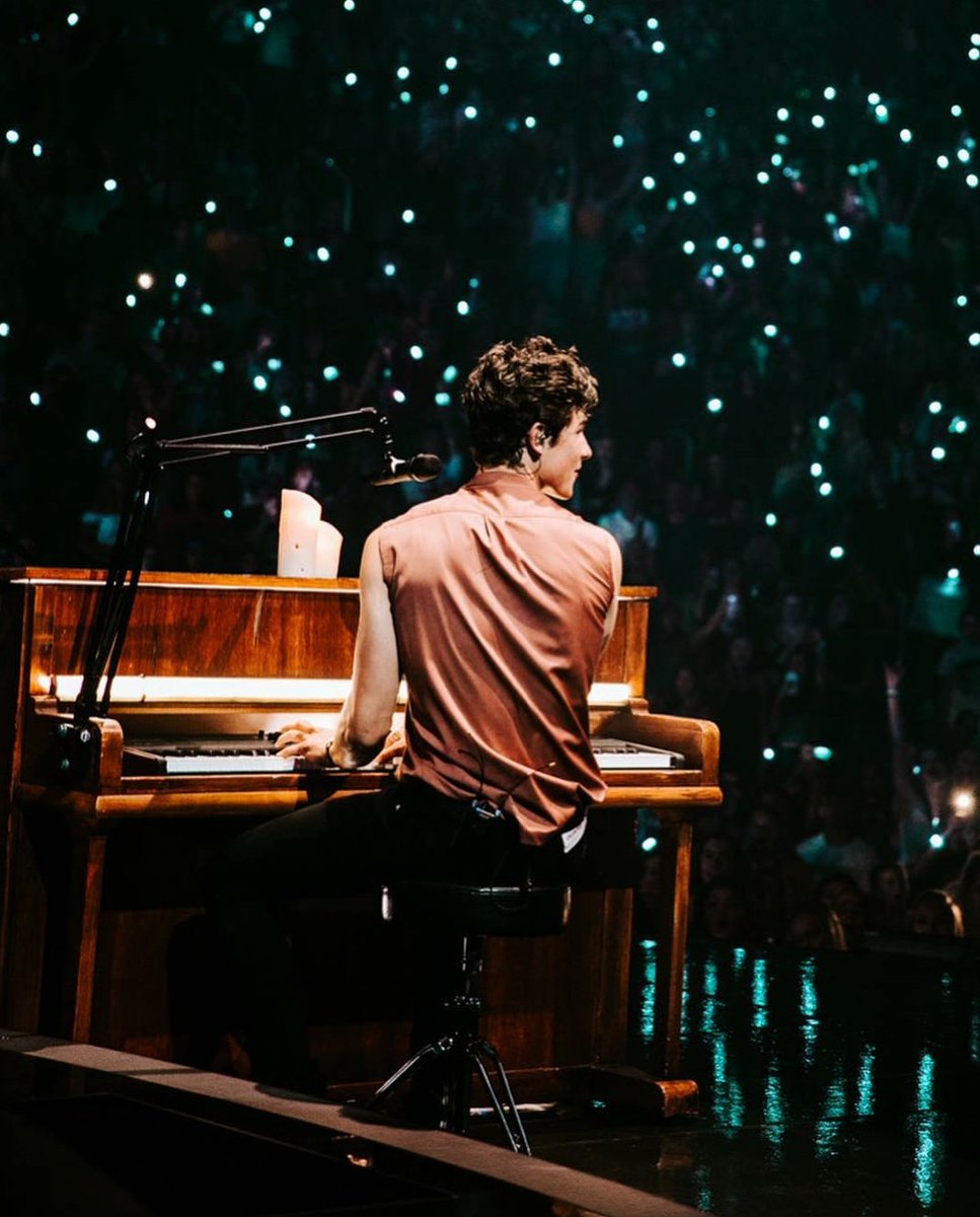 Shawn Mendes The Tour - Detroit ✦