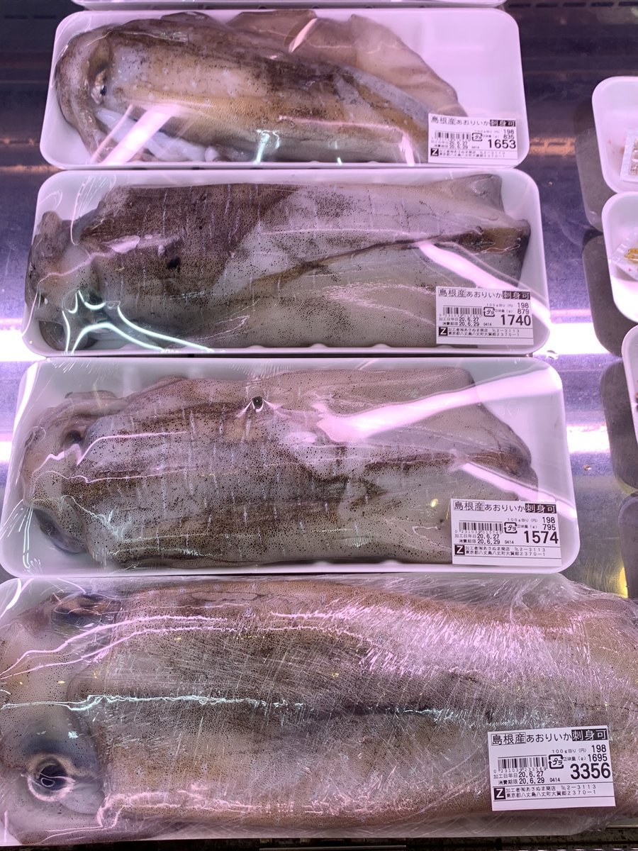 海風おねえさん さんのツイート 本日土曜市 鮮魚部のおすすめ 巨大なアオリイカ 島根産 入荷しました 激安です 超おすすめです あさぬま鮮魚部 土曜市 スーパーあさぬま 全日食 八丈島 アオリイカ