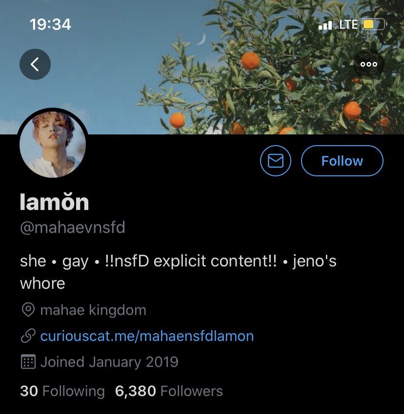moots beware of @/mahaevnsfd she is a grown adult !!!!!!!! sexualizing members of dream (especially js & chnle)