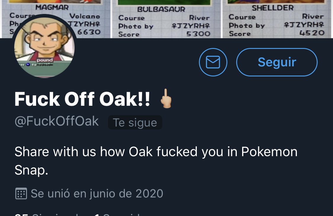 semlude's tweet image. A raíz del vídeo del Pokémon Snap me ha empezado a seguir esta cuenta y no puedo estar más de acuerdo 😂