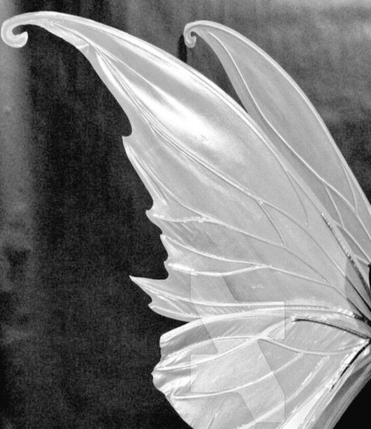 MF DOOM with fairy wings, a thread