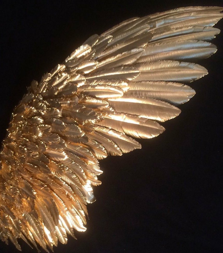 MF DOOM with fairy wings, a thread