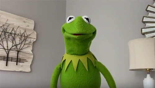 ToughPigs: Muppet Fans Who Grew Up 🐸 on Twitter: "Kermit the Frog has  delivered a lovely message about #pride, love, and acceptance. I\
