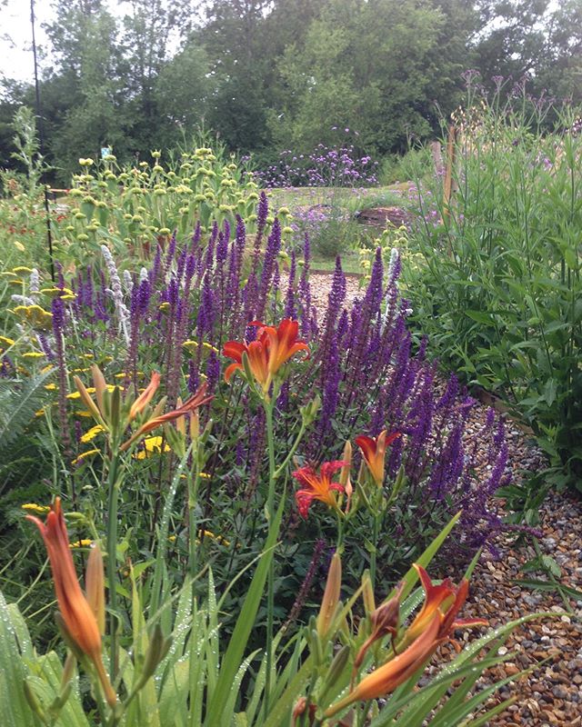 SpithurstHub's tweet photo. A slightly damp start to the day, but our gardens are still looking lovely and The Hubbery Cafe is still open for take away "fika" Saturday and Sunday 10.00-17.00, so pop up for your freshly made cinnamon buns to enjoy at home. Love baking them early in the morning, listening to https://t.co/1xVAQiiYqm