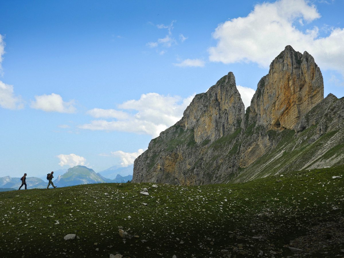 ledevoluy's tweet image. [ I N S P I R A T I O N 🤩 ]
A la recherche d'une idée de randonnée dans Le Dévoluy ?
📸Une semaine de sorties à découvrir prochainement sur le blog Carnets de Rando
Attention : vous risquez d'en prendre plein la vue 😍
#devoluy #myhautesalpes #JusteEntreNous