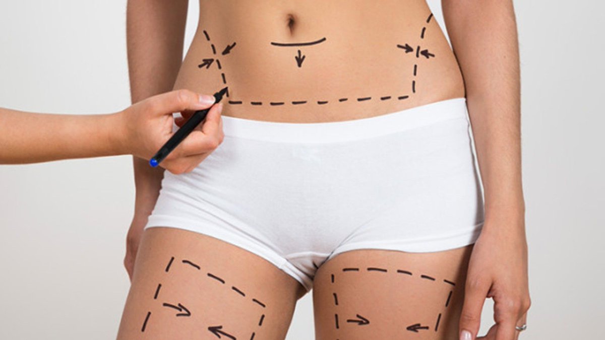 Memoria de delfín tweet media