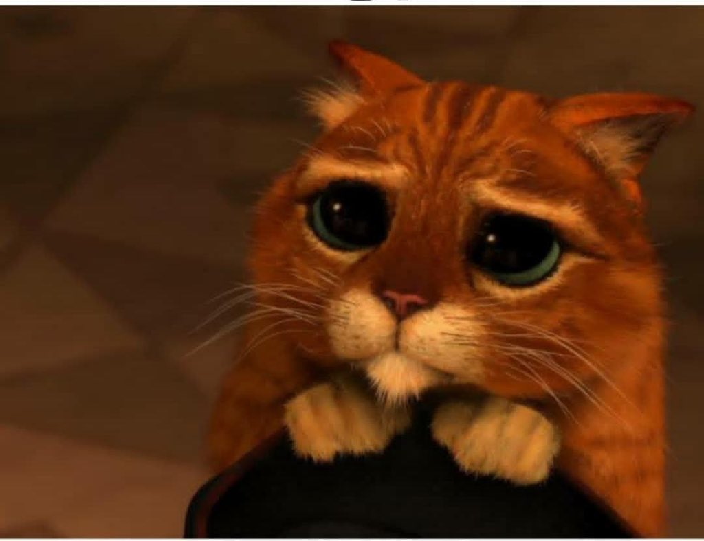 buzz_paper's tweet photo. Me Waiting For #DARKseason3 Like 

#DARKseason3 #DarkNetflix #dark #thebuzzpaper https://t.co/4uf3l8EAAj