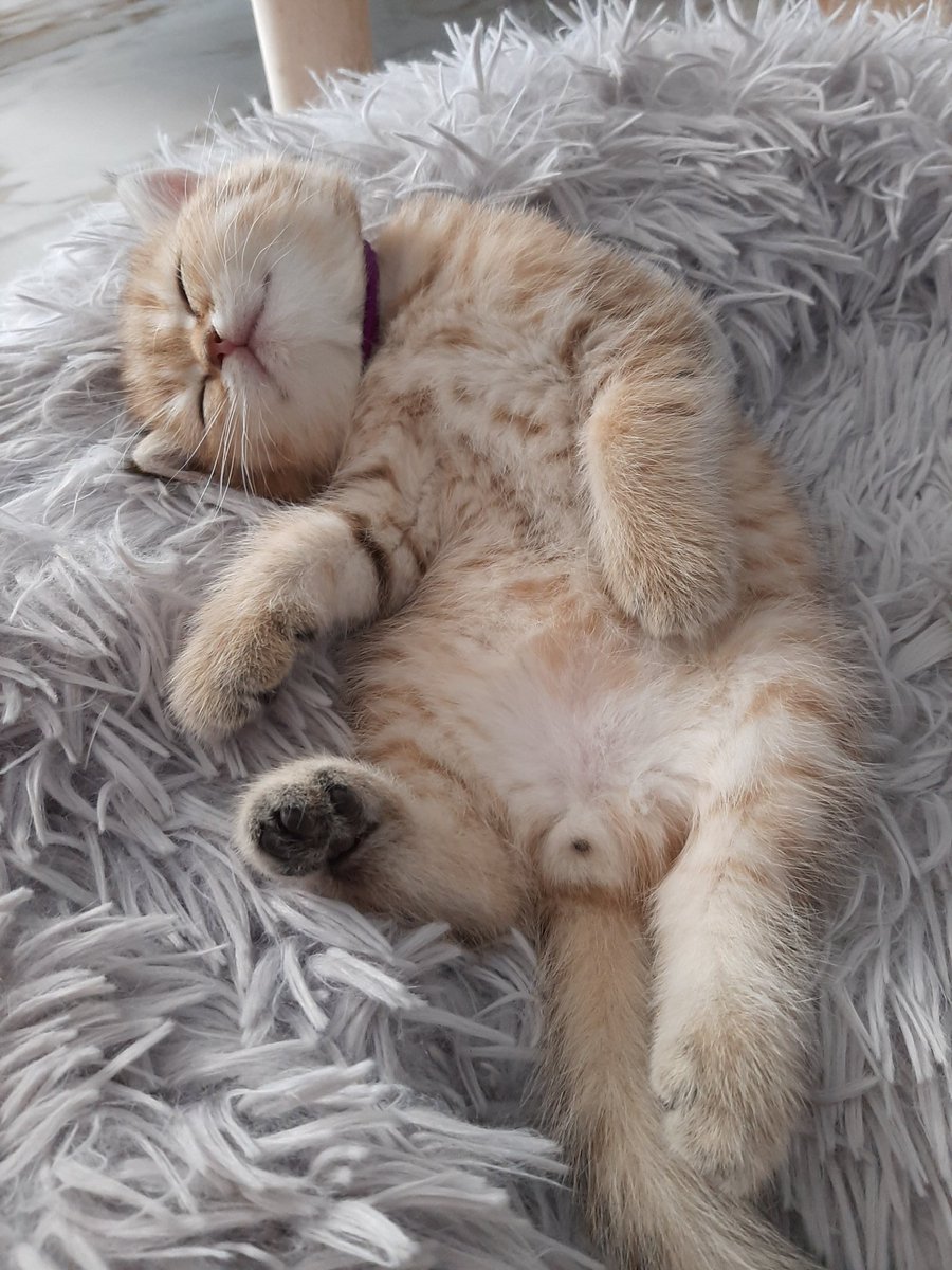 TodtyTodty30's tweet photo. ฝันอะไรยิ้มน้อยยิ้มใหญ่ 😂 https://t.co/b0ZdZGpGif