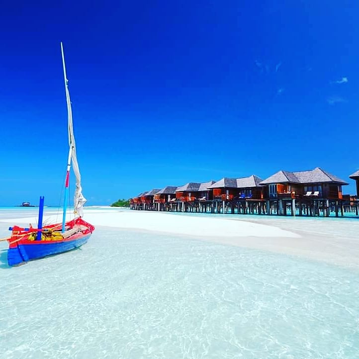 “No tienes que ser grande para empezar, pero debes empezar para ser grande.” Disfruta del viaje de la vida 🍀✨🍀