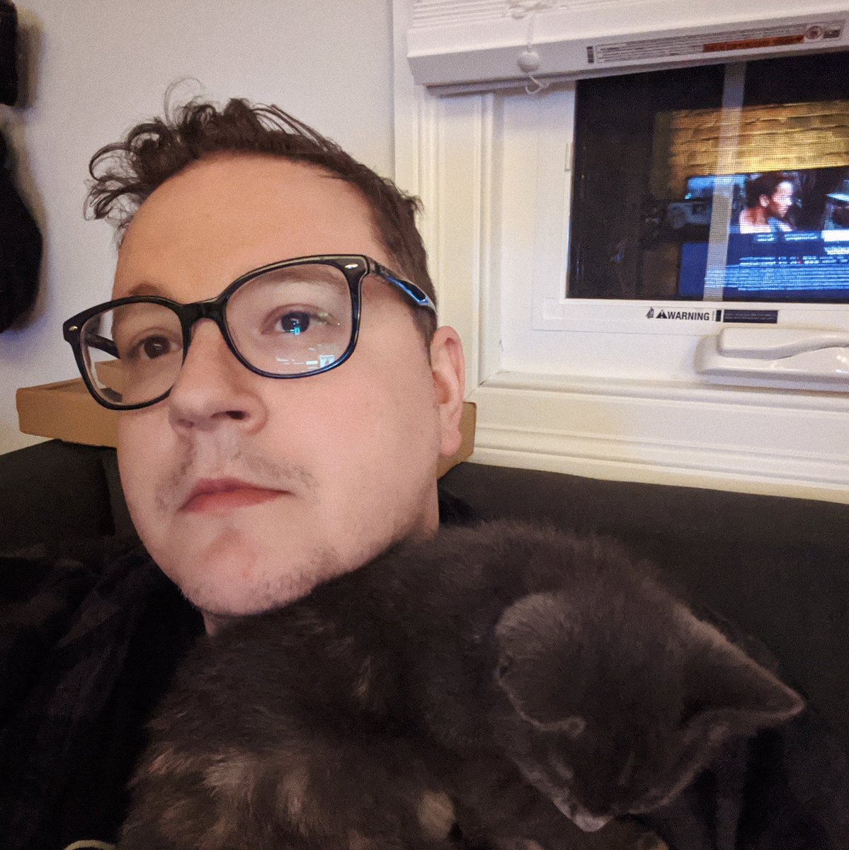 The kittens are really into sleeping on my shoulders. It's weird. I'm not even holding them they just want to balance there and zonk out and purr directly into my ear. Every night.