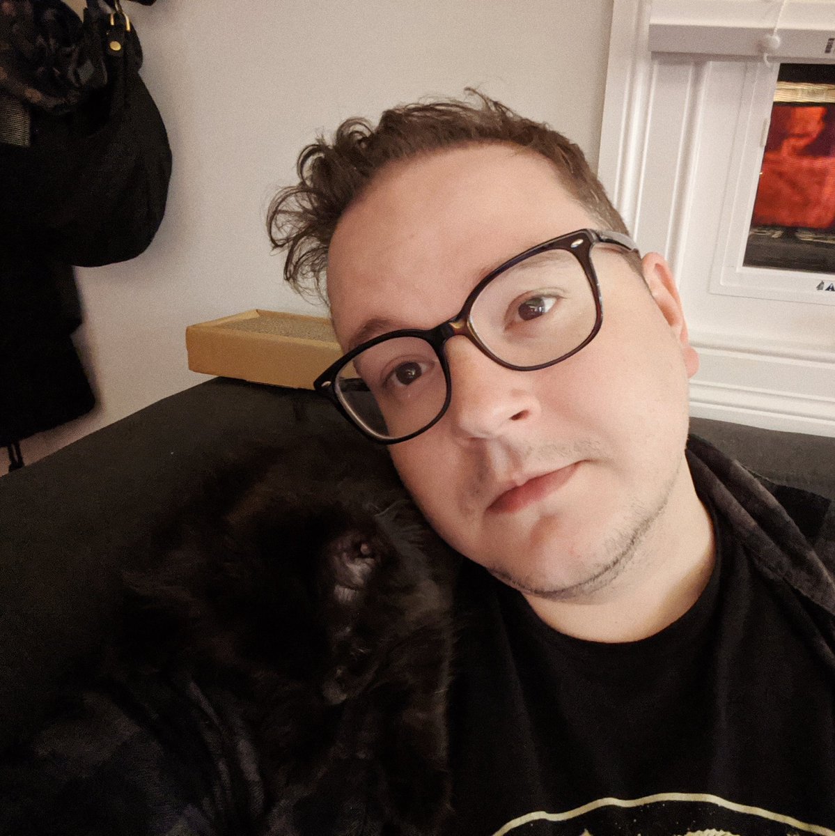The kittens are really into sleeping on my shoulders. It's weird. I'm not even holding them they just want to balance there and zonk out and purr directly into my ear. Every night.