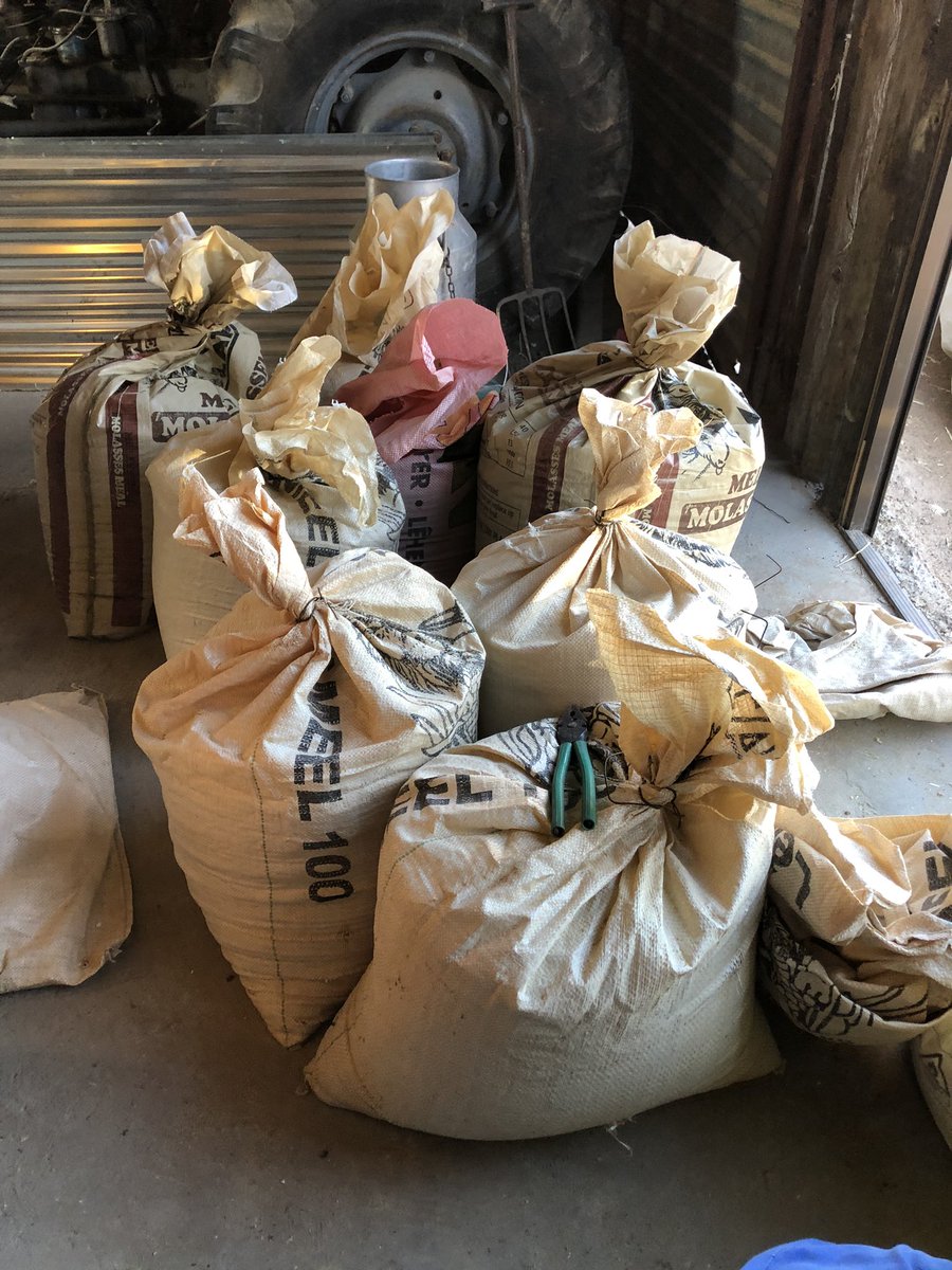 R&R Ranches🐂 tweet media