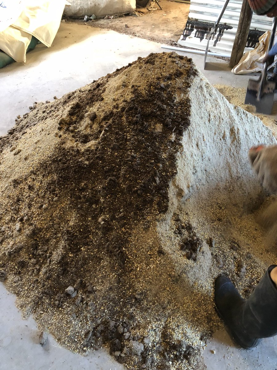 R&R Ranches🐂 tweet media