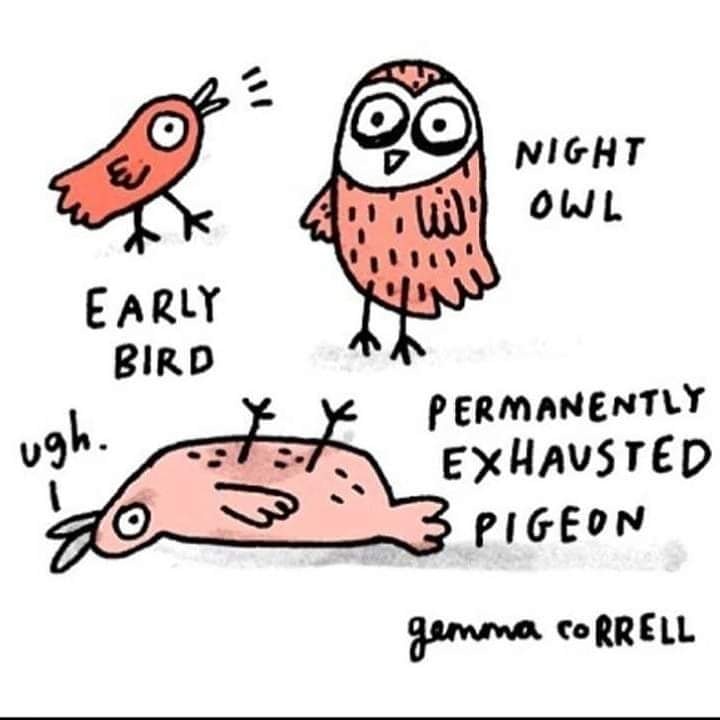 RachTay80's tweet photo. Which one are you this weekend? I think I might be the last one, permanently exhausted pigeon! Which are you? Perhaps it's time for some relaxation &amp; self care? 
Tell me which you are &amp; what you will do to help.....
#tootired #childsleep #mumlife https://t.co/asZBJZIh0b