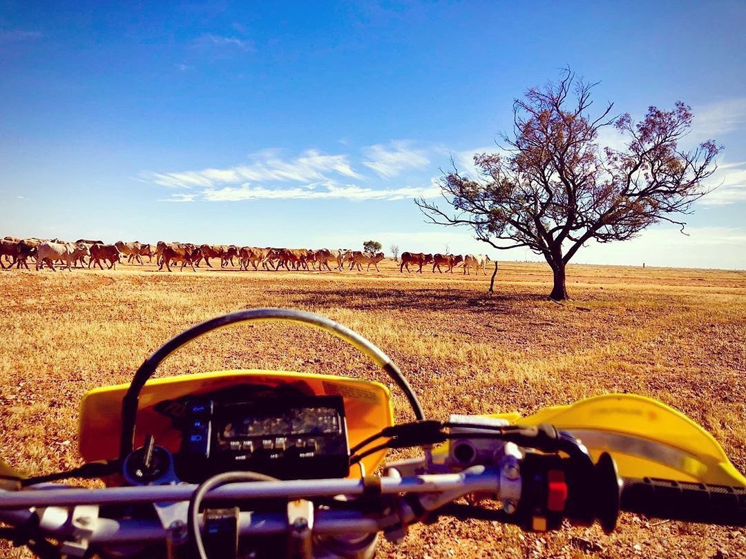 An office with a view! #countrylife 
#repost 📸: @outback.life.australia