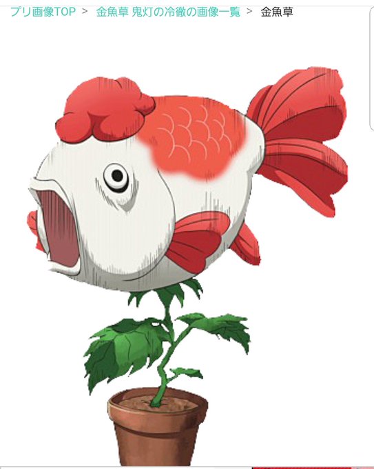 金魚草のtwitterイラスト検索結果 古い順