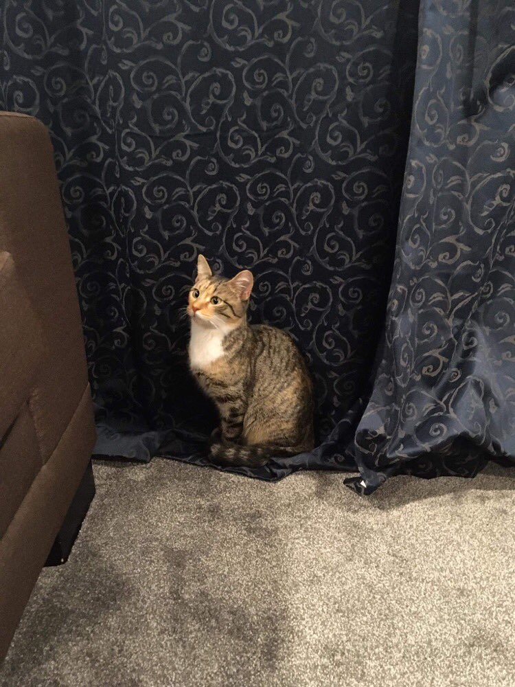 Dan Taipua tweet media