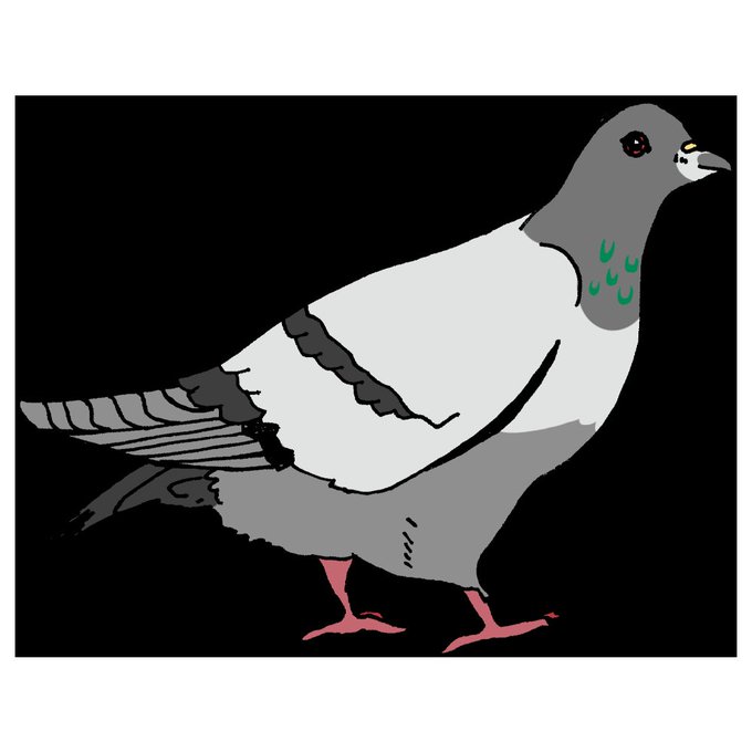 チョコボのtwitterイラスト検索結果