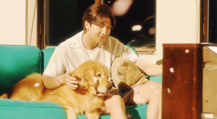 _helovesmiori's tweet photo. Kim namjoon "stay gold 💛"
#StayGoldMV https://t.co/WiGTN2wrFv