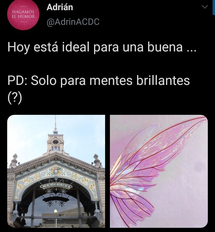 HalconMeme tweet picture