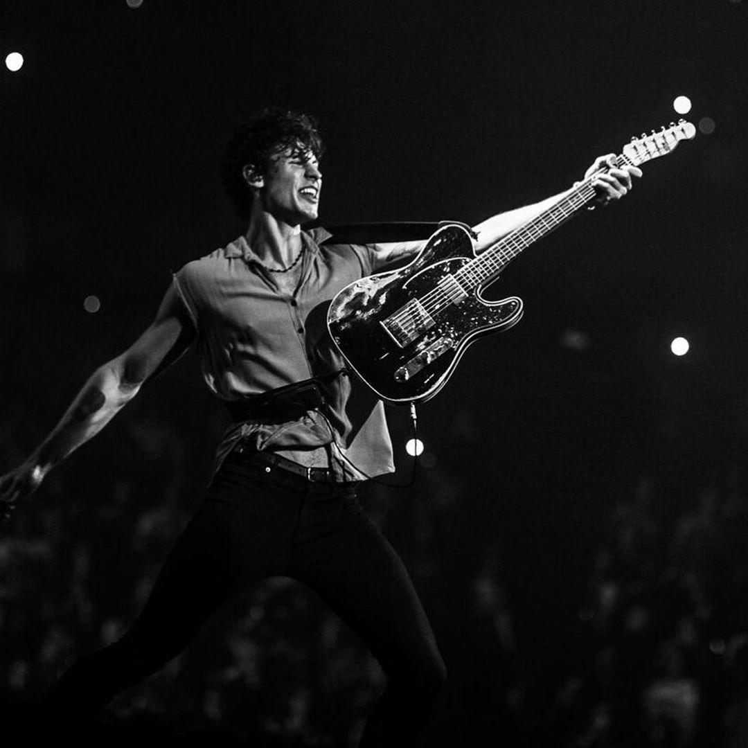Shawn Mendes The Tour - Auckland ✦