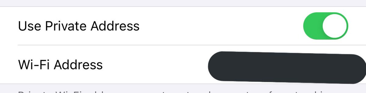 jellomendez's tweet image. you can use a private address in ios 14  #iOS14DevBeta1