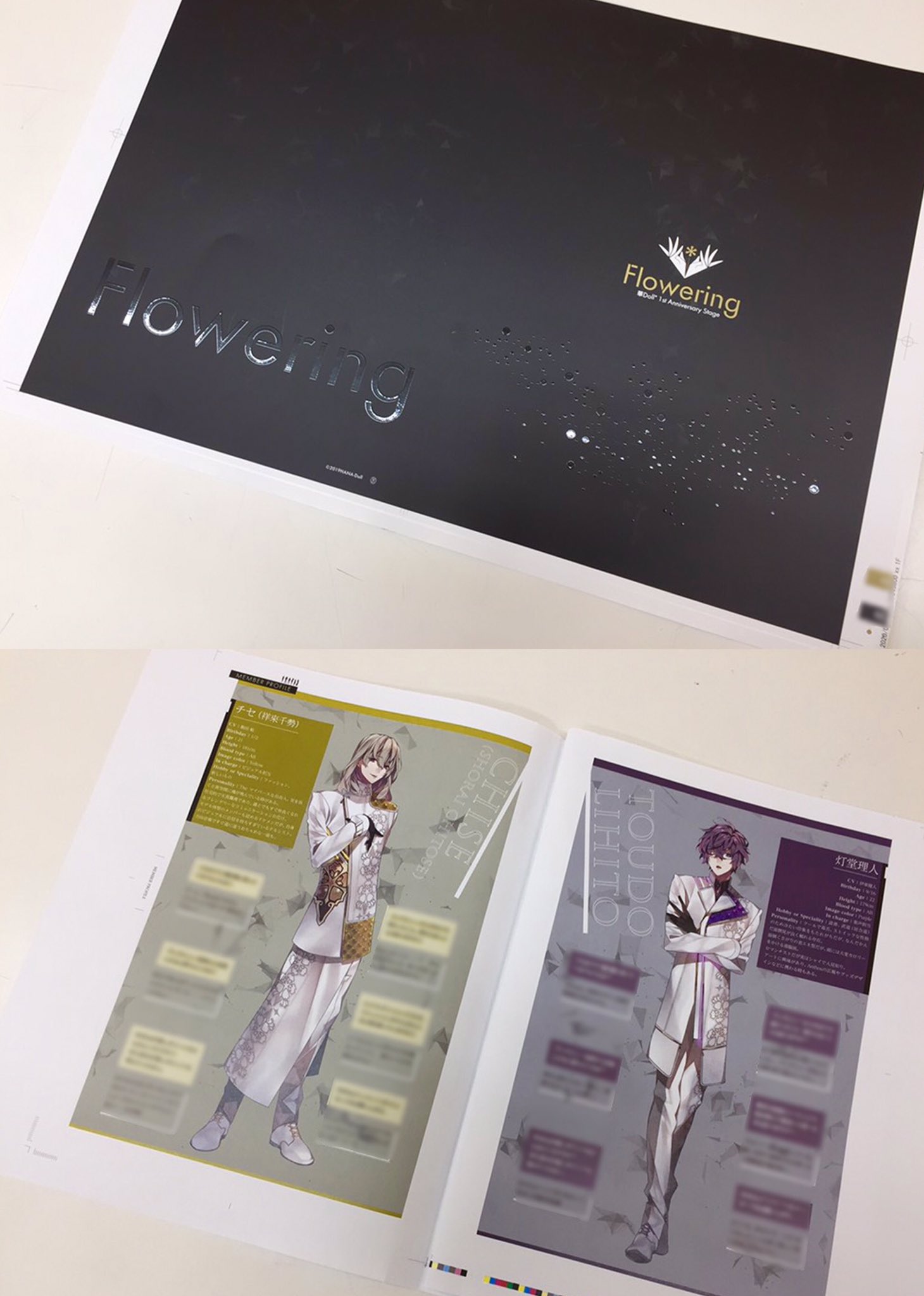 華Doll*イベントパンフレット、CD、入場特典ポストカード
