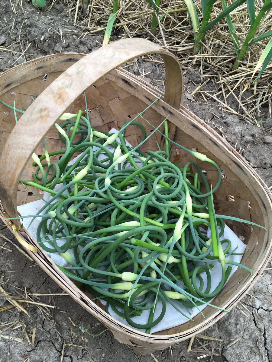 Indian River Acres tweet media