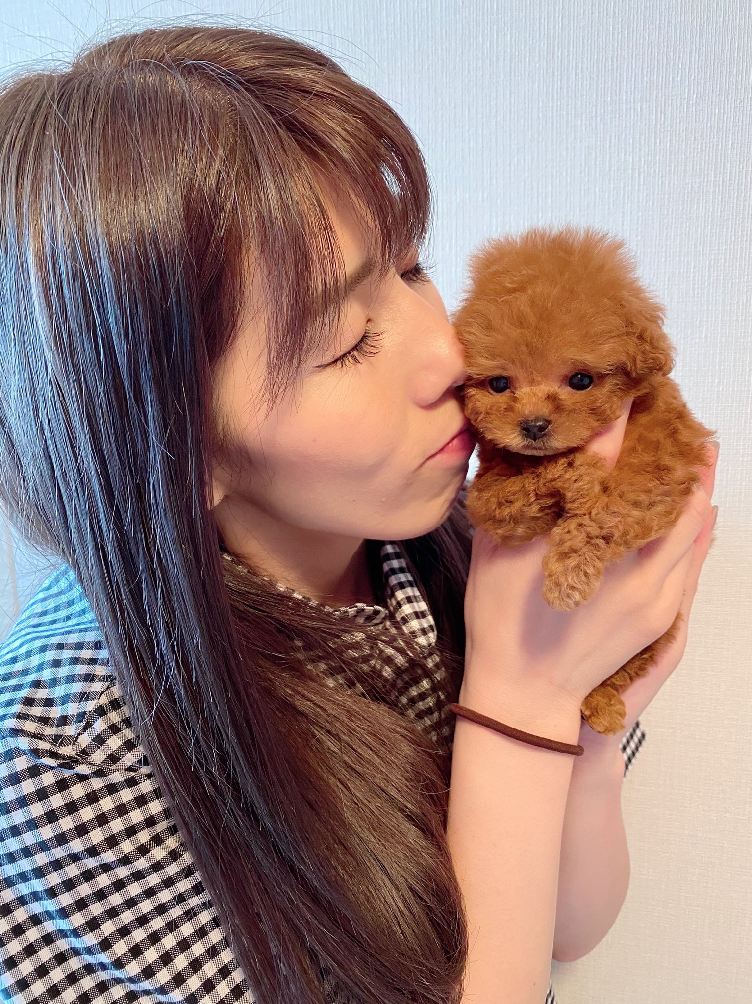 吉田沙保里 私の相棒 これからヨロシクねん 可愛すぎる トイプードル 女の子 運命の出会い T Co Jm4n4xzjjx Twitter
