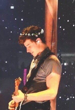 - Shawn with flower's crowns ✦